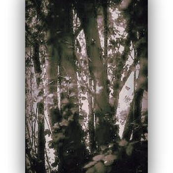 Photography titled "la-foret-en-retour-…" by Pascaline, Original Artwork