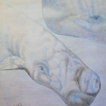 Tekening getiteld "Sperm Whales" door Pasquale Desantis, Origineel Kunstwerk, Potlood