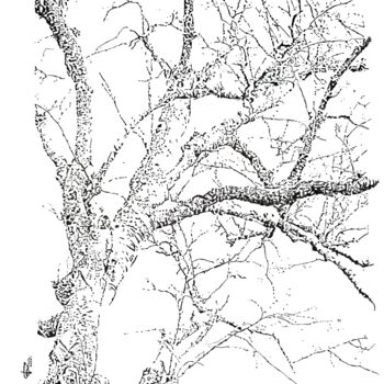 Drawing titled "Albero d' inverno" by Pasquale Luzzo, Original Artwork, Ink