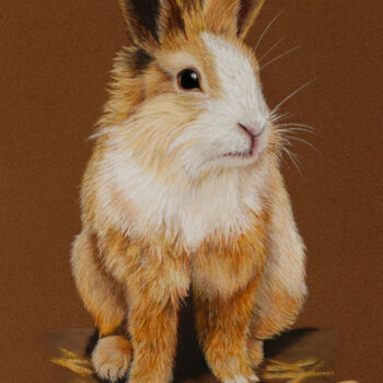 Dessin intitulée "Mon lapin" par Pastels Et Velours, Œuvre d'art originale, Pastel Monté sur Carton