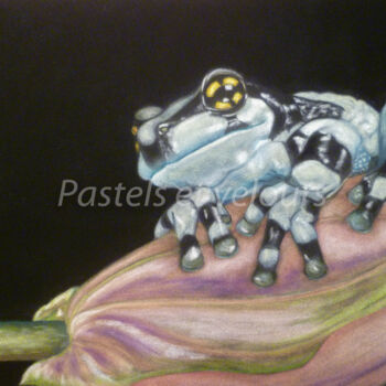 Dessin intitulée "En noir et blanc" par Pastels Et Velours, Œuvre d'art originale, Pastel
