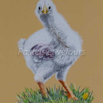 Drawing titled "Ma poulette" by Pastels Et Velours, Original Artwork, Pastel Mounted on Cardboard