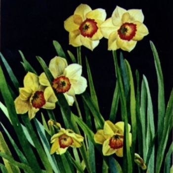 Pintura intitulada "Daffodils" por Tatiana Kremlev (Chvetsova), Obras de arte originais, Óleo