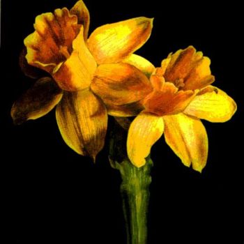 Schilderij getiteld "Two Daffodils" door Tatiana Kremlev (Chvetsova), Origineel Kunstwerk, Olie