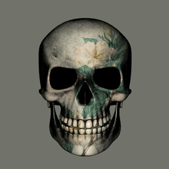 Arts numériques intitulée "Skull" par Patricia Antonio, Œuvre d'art originale, Photo montage
