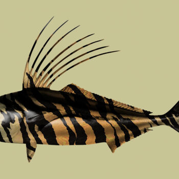 Arts numériques intitulée "Tiger Fish" par Patricia Antonio, Œuvre d'art originale, Photo montage