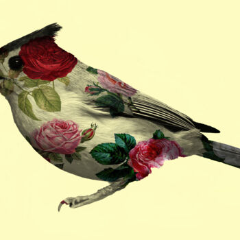 Arte digital titulada "Little Bird" por Patricia Antonio, Obra de arte original, Pintura Digital