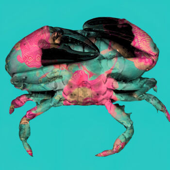 Arts numériques intitulée "Pink Crab" par Patricia Antonio, Œuvre d'art originale, Peinture numérique