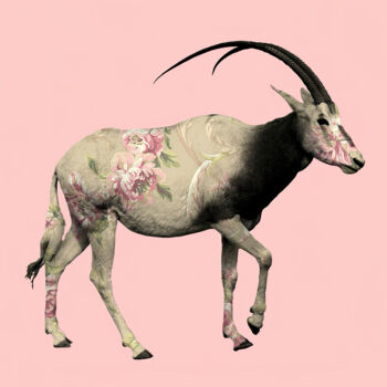 Artes digitais intitulada "Oryx Flower" por Patricia Antonio, Obras de arte originais, Pintura digital