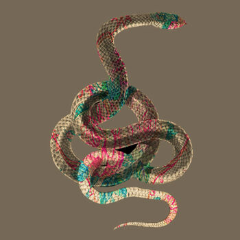 Digital Arts titled "Gold snake" by Patricia Antonio, Original Artwork, Photo Montage