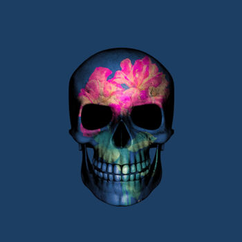 Digitale Kunst mit dem Titel "Skull Navy" von Patricia Antonio, Original-Kunstwerk, Fotomontage