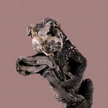 Arte digital titulada "Chameleon Nude" por Patricia Antonio, Obra de arte original, Foto-montaje