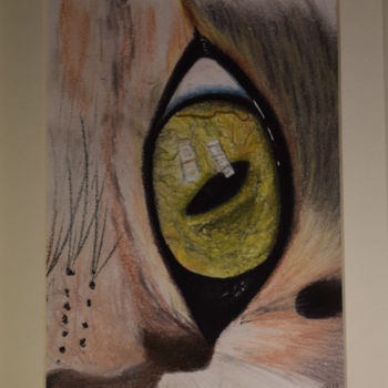 Desenho intitulada "œil de chat" por Patricia Neveux, Obras de arte originais, Pastel