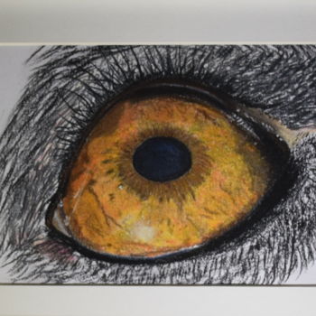 Dessin intitulée "L’œil de Sally" par Patricia Neveux, Œuvre d'art originale, Pastel