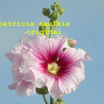 Photography titled "fleur d'été" by Patricia Saulais, Original Artwork, Digital Photography