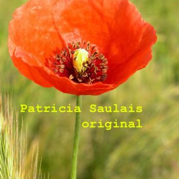 Photography titled "coquelicot1" by Patricia Saulais, Original Artwork, Digital Photography