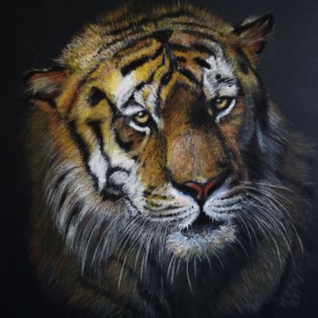 Dessin intitulée "2016tigre-50x65.jpg" par Patrick Dorigny, Œuvre d'art originale, Pastel