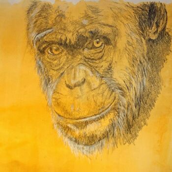 Rysunek zatytułowany „Chimpanzé” autorstwa Patrick Dugué, Oryginalna praca, Ołówek