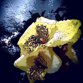 Photography titled "flower of Thailand" by Patrick John Bennett (Patrice), Original Artwork, Digital Photography