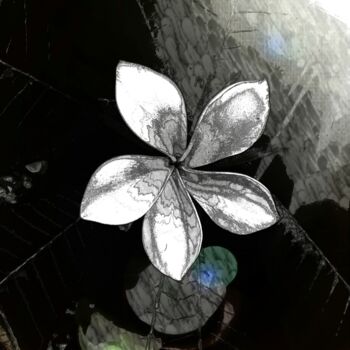 Fotografie getiteld "Flower in a Silken…" door Patrick John Bennett (Patrice), Origineel Kunstwerk, Digitale fotografie