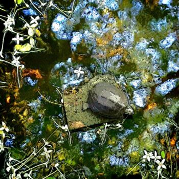 Фотография под названием "The Turtle" - Patrick John Bennett (Patrice), Подлинное произведение искусства, Цифровая фотография