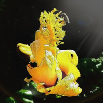 Fotografie mit dem Titel "Bugs Life" von Patrick John Bennett (Patrice), Original-Kunstwerk, Digitale Fotografie