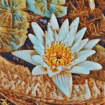 Fotografía titulada "Lotus Flower" por Patrick John Bennett (Patrice), Obra de arte original, Fotografía digital