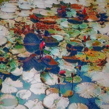 Fotografia intitolato "Water Lilies 2023" da Patrick John Bennett (Patrice), Opera d'arte originale, Fotografia digitale