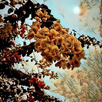 Fotografía titulada "Blossom before the…" por Patrick John Bennett (Patrice), Obra de arte original, Fotografía digital