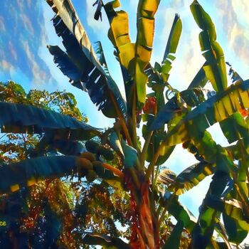 Arts numériques intitulée "Welcoming "Bananas"" par Patrick John Bennett (Patrice), Œuvre d'art originale, Photographie numé…