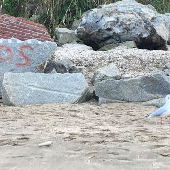 Photographie intitulée "Photo mouette sur l…" par Patrick Jourdain, Œuvre d'art originale