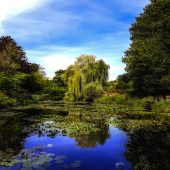 Photographie intitulée "le jardin de Monet…" par Patrick Nguyen, Œuvre d'art originale, Photographie numérique