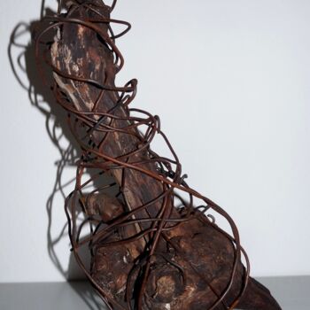 Скульптура под названием "TROGNE1" - Patrick Tourtel, Подлинное произведение искусства, проволочный
