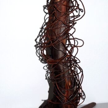 "TROGNE2" başlıklı Heykel Patrick Tourtel tarafından, Orijinal sanat, Tel
