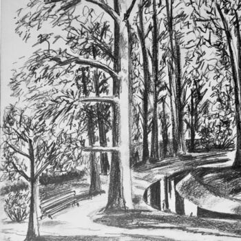 Drawing titled "Parc St Bonnet" by Patrick Tubaro, Original Artwork, Silverpoint