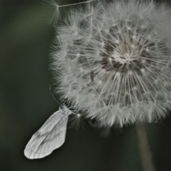 Photography titled "Delicate Touch" by Patrick Wattebled, Original Artwork, Digital Photography