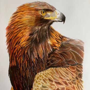 Desenho intitulada "Aquila Reale" por Patrizia Salcini, Obras de arte originais, Conté