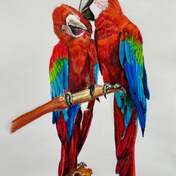 Картина под названием "Are rosse" - Patrizia Salcini, Подлинное произведение искусства, Цветные карандаши