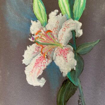 Schilderij getiteld "Lilium" door Patrizia Salcini, Origineel Kunstwerk, Pastel