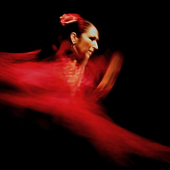 Photography titled "Flamenco Dancer" by Paul Berriff, Original Artwork, Digital Photography