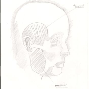 Drawing titled "Anatomie 14" by Paul-Éric Langevin, Original Artwork, Pencil