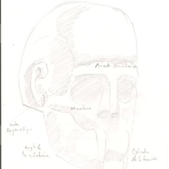 Drawing titled "Anatomie 22" by Paul-Éric Langevin, Original Artwork, Pencil