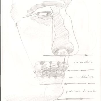 Tekening getiteld "Anatomie 48" door Paul-Éric Langevin, Origineel Kunstwerk, Potlood