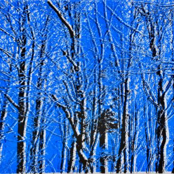 Druckgrafik mit dem Titel "Winterwald I" von Paul Jaklin, Original-Kunstwerk, Analogdruck