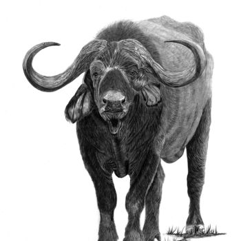 Disegno intitolato "Buffalo" da Paul Stowe, Opera d'arte originale, Grafite