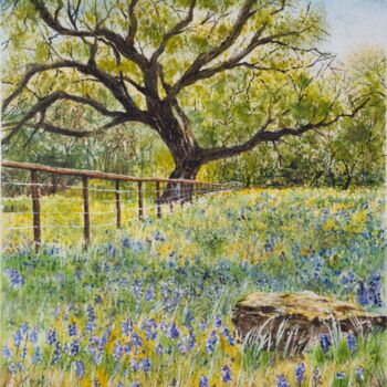 Schilderij getiteld "Texas Bluebonnets i…" door Paula Bridges, Origineel Kunstwerk, Aquarel Gemonteerd op Andere stijve pane…