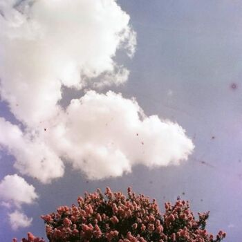 "spring" başlıklı Fotoğraf Paula Marchesini tarafından, Orijinal sanat, Analog Fotoğrafçılık