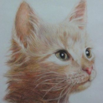 Dibujo titulada "gato" por Paula Aguirre, Obra de arte original, Otro