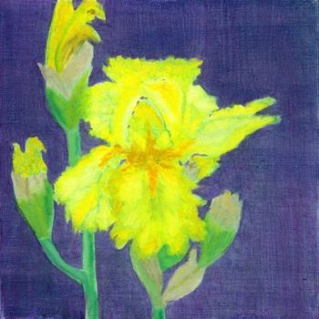 Malerei mit dem Titel "Yellow Iris" von Paula Emery, Original-Kunstwerk, Öl