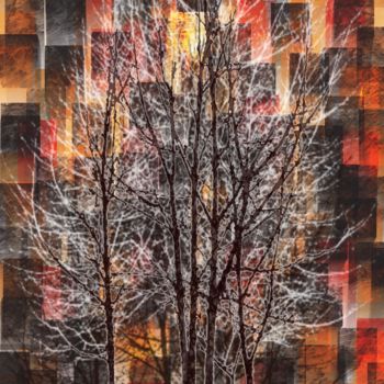Digital Arts titled "un arbre avec noël" by Paul Destaercke, Original Artwork, Digital Painting